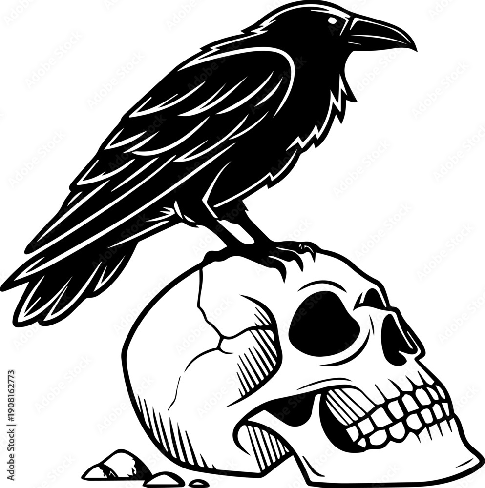 Fototapeta premium Black Raven Perched on Human Skull Vector Illustration Gothic Tattoo Art