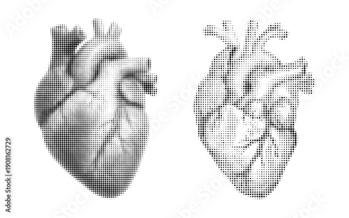 Halftone heart illustrations in black and white human anatomy graphics with pixelated texture medical symbols for design and health concepts on white background