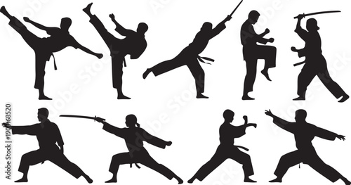 Silhouettes of martial artists in dynamic poses martial arts
