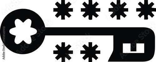 password key with stars illustration