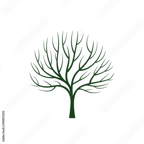 A simple illustration of a bare tree with dark green branches