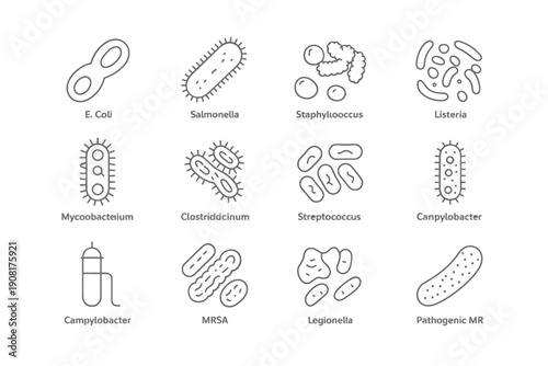 Line art illustration depicting various bacteria and microbial organisms