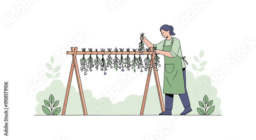 Woman Drying Herbs or Plants Outdoors on Wooden Rack, Botanical Illustration