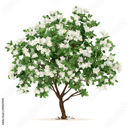 Flat-design 2D vector artwork of a Jasmine Tree, styled as an icon and isolated against white background