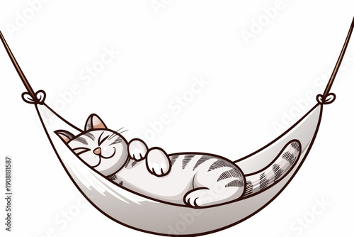 A contented tabby cat peacefully sleeps in a cozy hammock