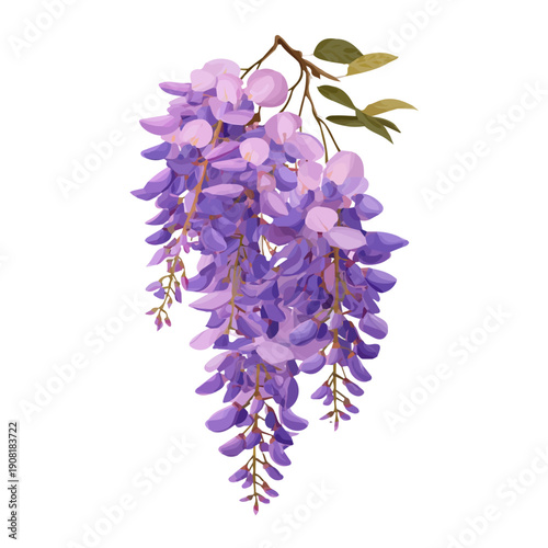 Simple flat 2D vector graphic of a Wisteria Bouquet in modern icon style, isolated on a white canvas