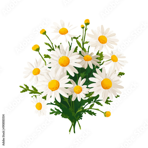 Minimalist 2D vector icon representation of a Chamomile Bouquet, displayed on a pure white background