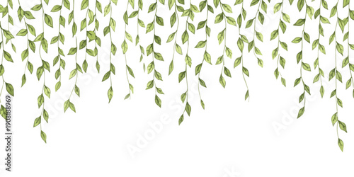 Watercolor illustration of green leaves hanging down in a decorative border against a white background