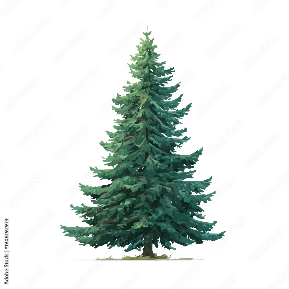 Fototapeta premium Flat 2D Fir Tree vector illustration, icon graphic on white background