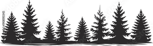 Minimal pine tree forest silhouette illustration, black evergreen woodland landscape design, nature background, isolated on white, outdoor scenery