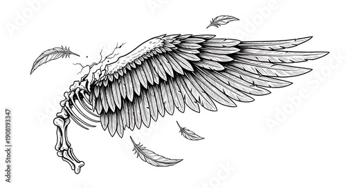 Detailed Hand-Drawn Illustration of a Skeletal Wing with Feathers.