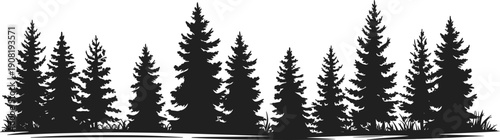 Black pine forest silhouette landscape, evergreen trees border design isolated on white background for nature banner illustration vector minimal art
