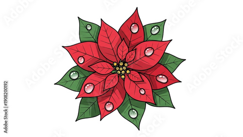 A red poinsettia flower with green leaves and white highlights centered on a transparent background viewed from directly above