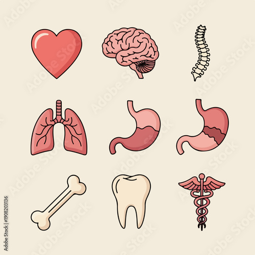 Cute cartoon set of human internal organs, bones, and medical symbols including heart, brain, lungs, stomach, and caduceus icons.