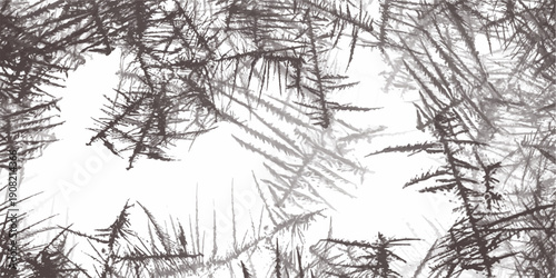 maebal Detailed structure of abstract marble black and white(gray).White marble texture for background or tiles floor decorative design1160