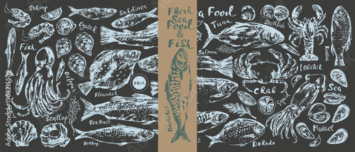 Hand drawn chalk sketch of seafood, fish for menu background. Octopus, squid, lobster, crab, oyster, prawn, shrimp, mussel, salmon, tuna, dorado, trout