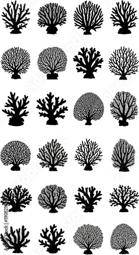 Black vector coral reef silhouettes set, marine plant shapes, underwater sea life illustration isolated on white