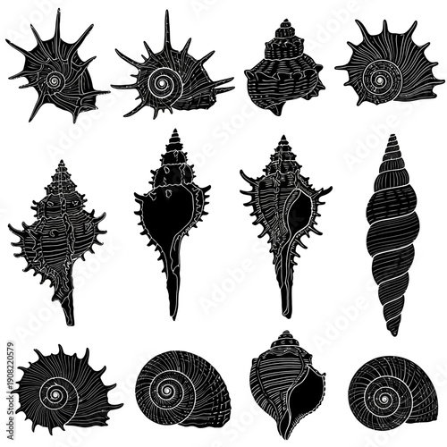 Black vector seashell collection, spiral conch shells, marine mollusk silhouettes, isolated on white
