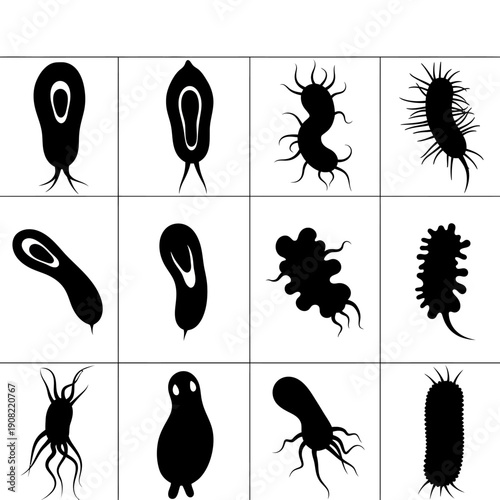 Vector black silhouette set of diverse microscopic bacteria and virus cells, isolated on a white background for scientific or medical illustration.