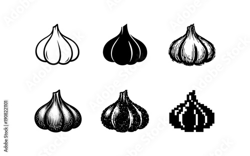 Collection of six distinct garlic bulb illustrations in various artistic styles