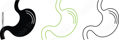 Stomach Icon Set Digestive System Gastroenterology Symbol Vector