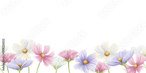 Fotografie Watercolor blooming spring flowers seamless border on white