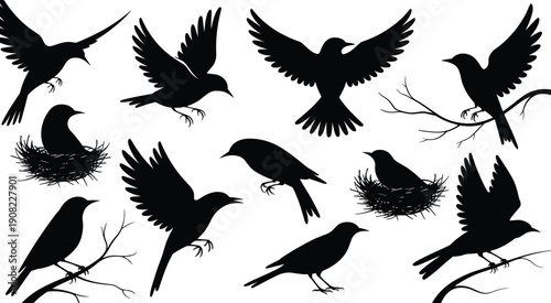 Black silhouette collection of birds flying perched on branches and nesting isolated on white background for nature wildlife and spring season graphic design projects