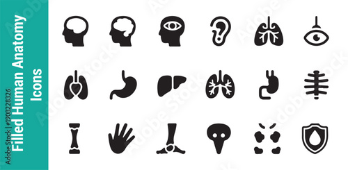 Filled human anatomy icons for clinical presentations and pharmaceutical marketing with solid black graphics