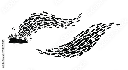 A school of fish forms the shape of a question mark in dark silhouette
