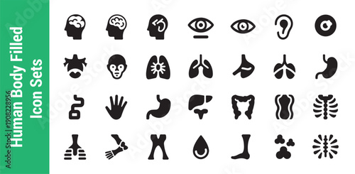 Human body filled icon sets isolated on white background, modern simple flat concept for web site