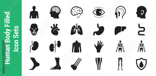 Human body filled icon set for medical and health services human organs and anatomy illustration