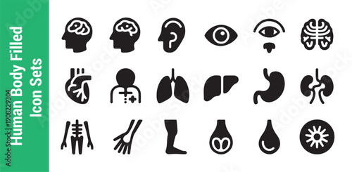 Human body filled icon sets isolated on white background, modern simple flat concept for web site
