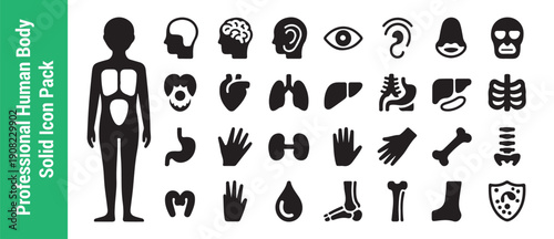 Professional human body solid icon pack with anatomical symbols showing internal organs and skeletal structures