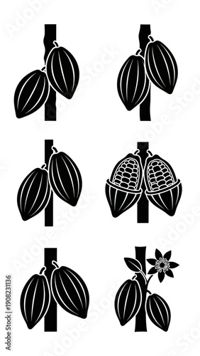 Cocoa Pods Collection: Whole, Cut, and Blooming Branch - Black and White Icons