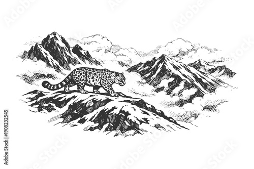 Majestic Hand Drawn Vector Illustration of a Snow Leopard Walking on a Snowy Mountain Ridge in Detailed Black and White Line Art Style