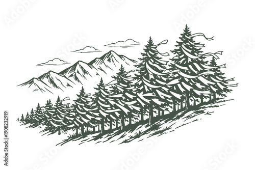 Hand Drawn Vector Illustration of a Dense Coniferous Pine Forest on a Mountain Slope with Windy Ribbons in Artistic Black and White Line Art Style