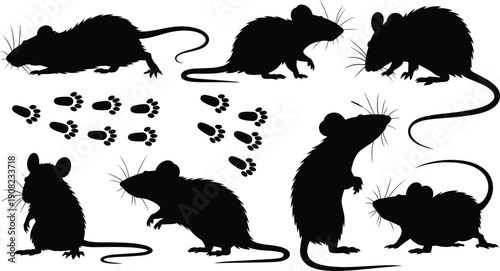 Rat silhouettes collection, rodent footprints, pest control illustration, wildlife vector design, animal behavior art, black silhouette, nature rodents