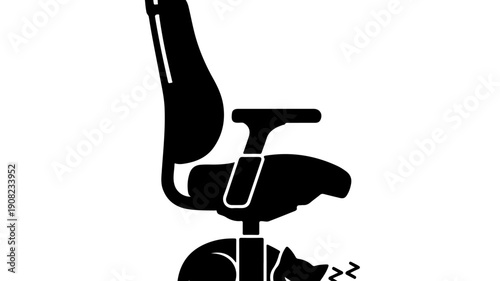 Office chair with a sleeping cat underneath.