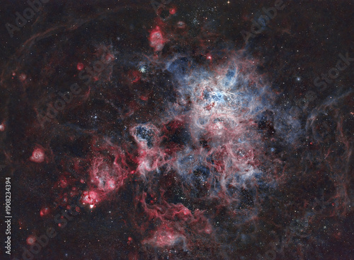 Tarantula Nebula