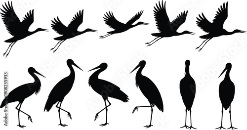 Crane bird silhouette set isolated on white background, flying and standing poses, elegant black wildlife avian vector illustration