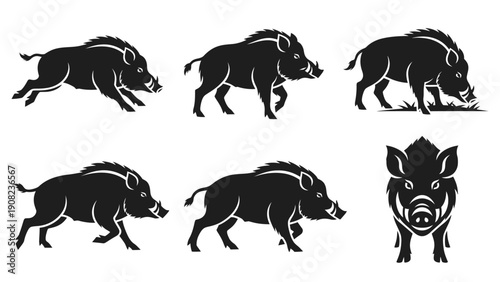 Wild Boar Silhouette Collection: Running, Grazing, Standing - Vector Graphics