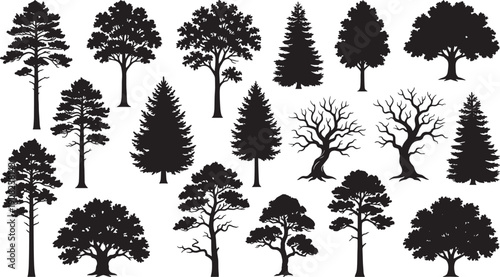 Detailed Set of Black Tree Silhouettes Collection Including Pine Fir Oak Willow and Deciduous Styles Isolated on White Background for Nature Landscape Design