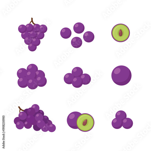 Purple Grape Fruit Set with Whole and Sliced Grapes – Fresh Grape Flat Vector Illustration