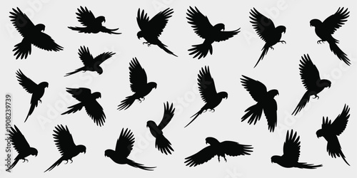Flying bird silhouettes collection isolated on white background, black avian shapes, dynamic wings, nature wildlife illustration set design graphic vector