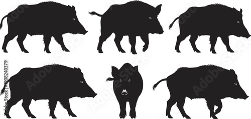 Black Silhouettes Set of Wild Boar and Feral Hogs in Various Poses Including Walking and Standing for Nature Wildlife and Hunting Concept Design Vector