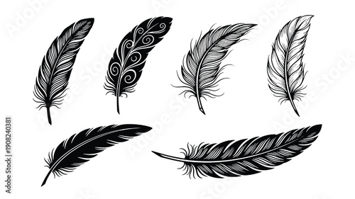 Feathers decorative set with black and white hand drawn ink silhouettes, boho ornament quills for logo, tattoo, vintage design, clipart bundle isolated