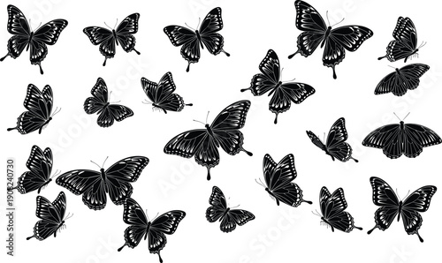 Set of butterfly silhouettes in various flying poses, detailed black insect illustrations isolated on white background for nature, spring, decorative, tattoo and graphic design use