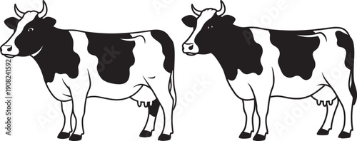 Two black and white spotted cows standing in a field, farm animal illustration