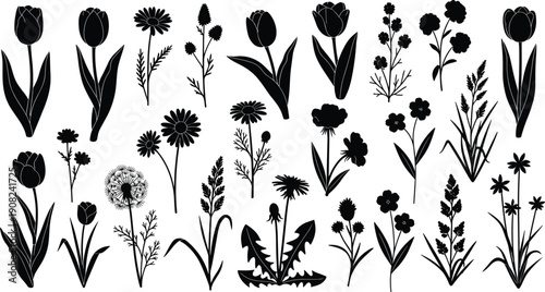 Set of floral silhouettes with tulips, daisies and wild plants, black botanical illustrations isolated on white background for nature, decorative, garden and graphic design use