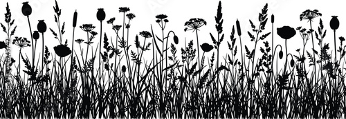 Wild meadow grass and flower silhouette landscape featuring tall plants and wildflowers, black vector illustration for nature background, botanical design and countryside scenery concepts